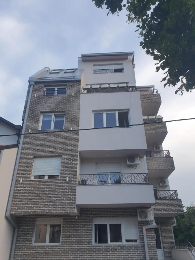 Porodicno-poslovni Udoban Stan Belgrade