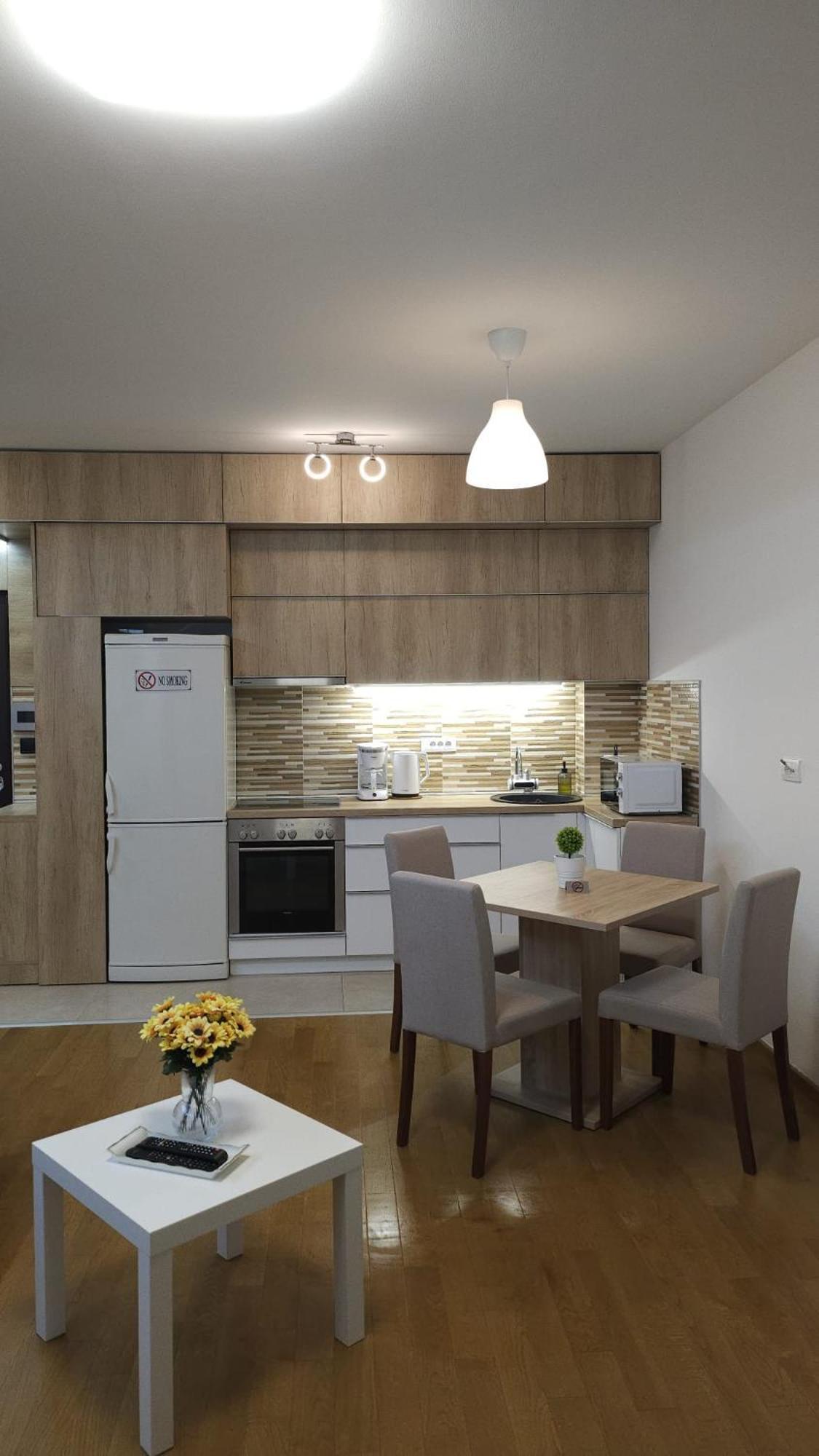 Porodicno-poslovni Udoban Stan Belgrade